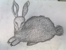 Albrecht_Dürer_Hase_Klasse_8b.JPG