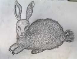 Albrecht_Dürer_Hase_Klasse_8b.JPG