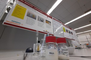 Milch und Laktose